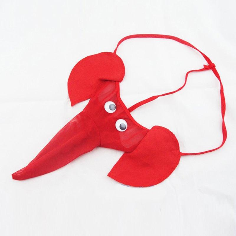 Bonnet Zizi Drôle